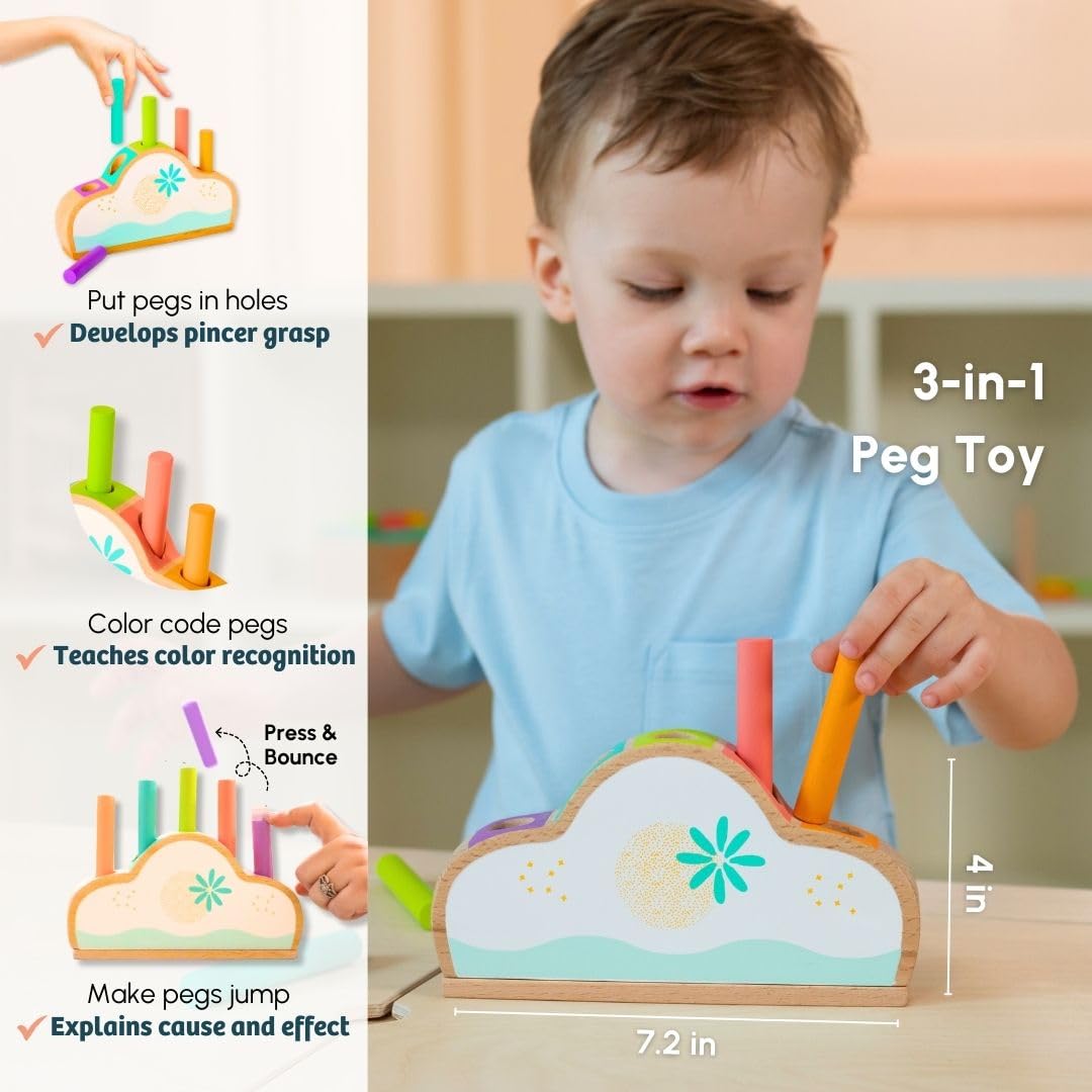 Curious Cub Montessori Wooden Toys for 1 Year Old Baby