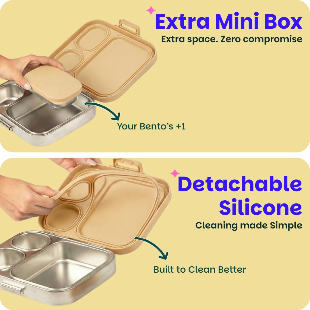 Basil Bento Box Quad Plus 3+1 Compartment Stainless Steel Lunch Box | Himachali Guldaan