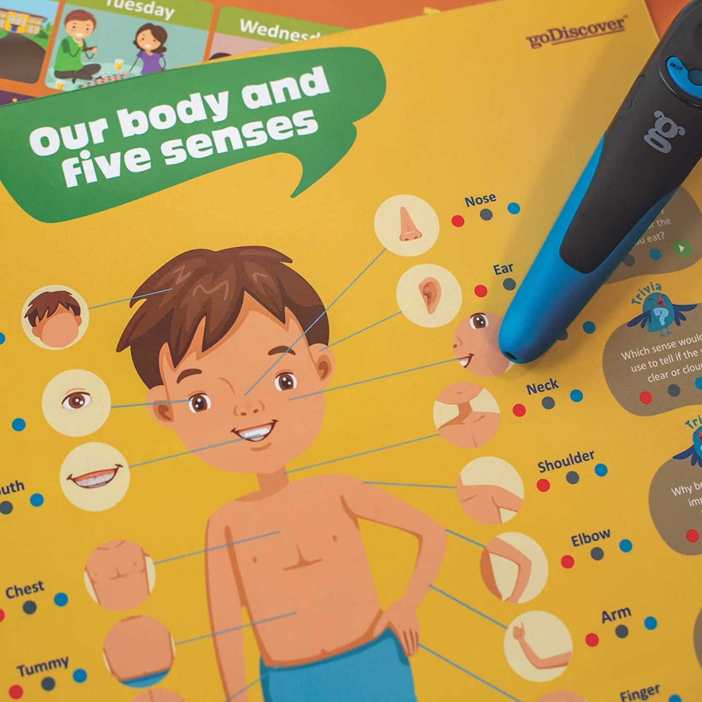goDiscover Kinder Smart Interactive Learning Series (color Multi) for 3 years - 6 years