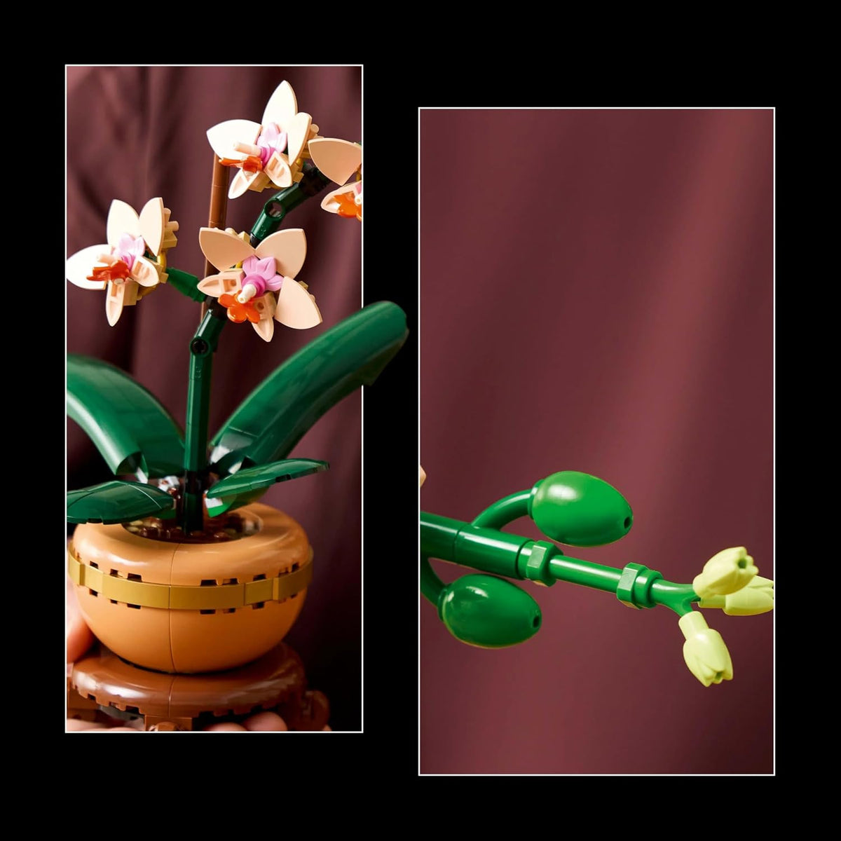 LEGO Botanicals 10343 Mini Orchid Flower Plant Building Set