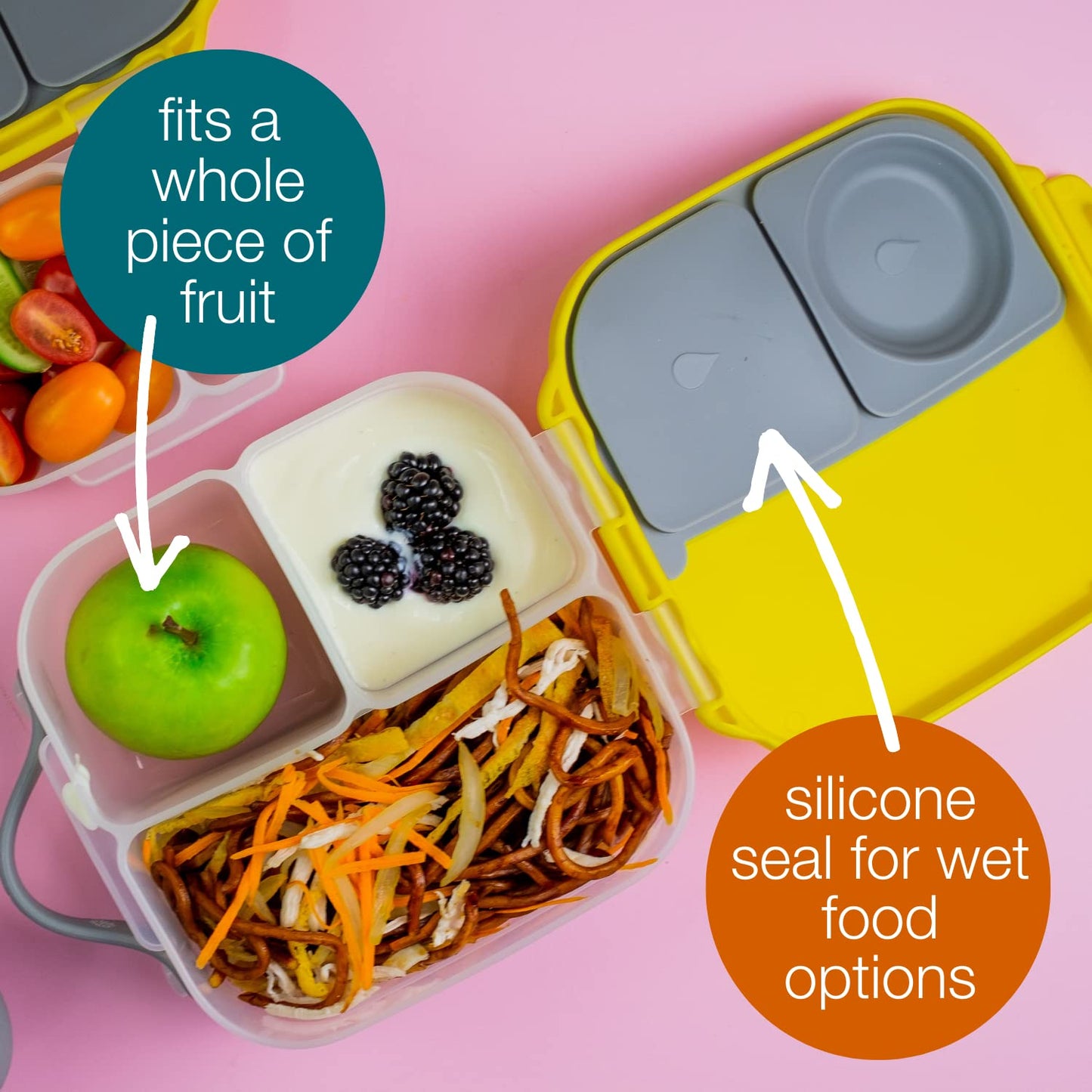Mini Lunchbox