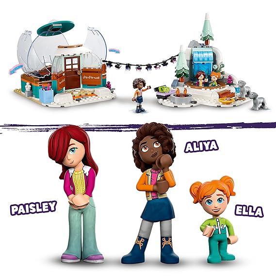 LEGO Friends Igloo Holiday Adventure 41760