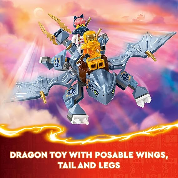 LEGO NINJAGO Young Dragon Riyu 71810