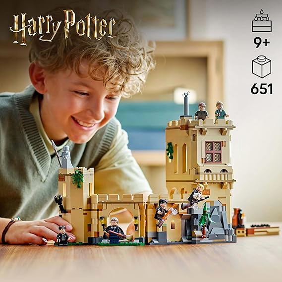 LEGO Hogwarts Castle: Flying Lessons 76447
