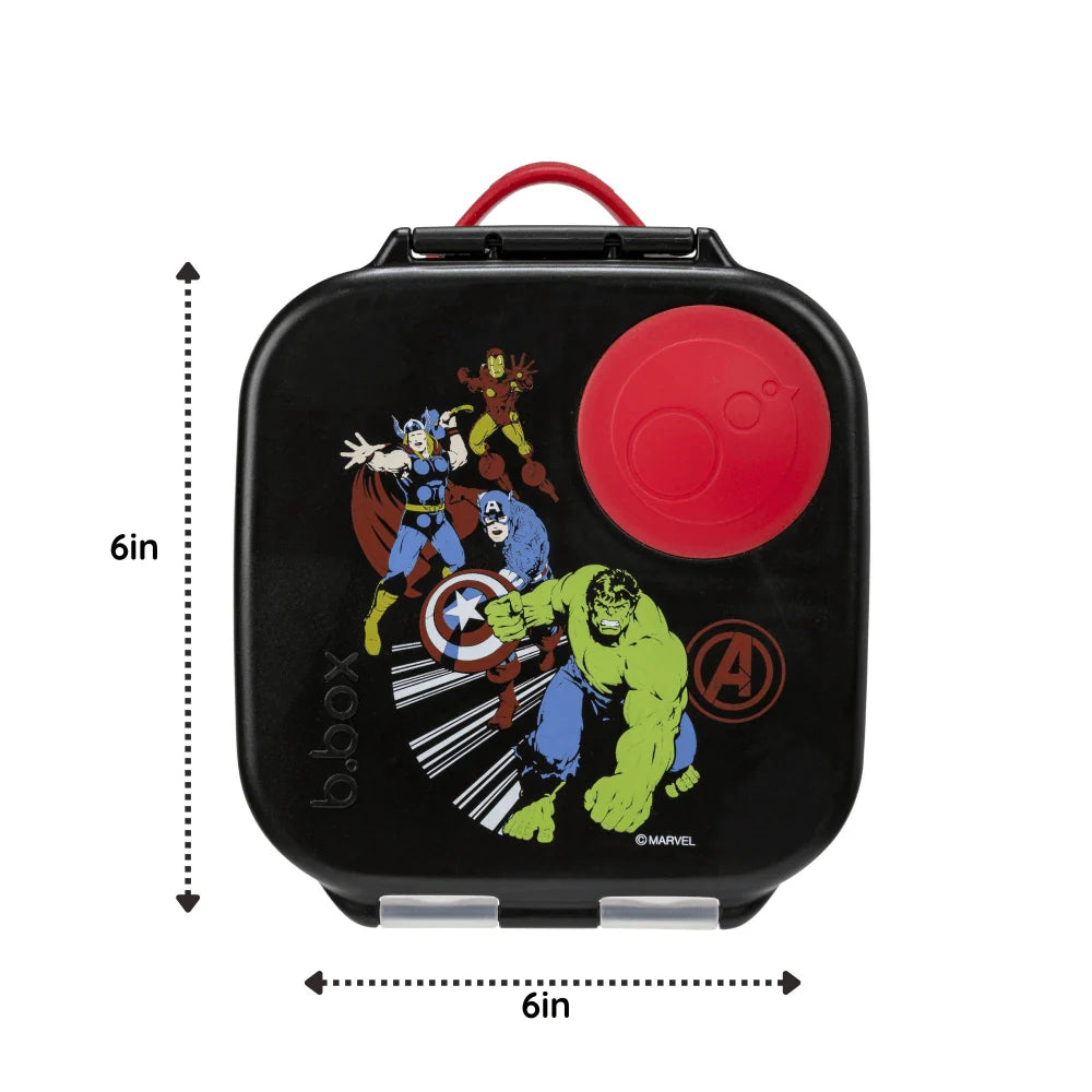 Mini Lunchbox