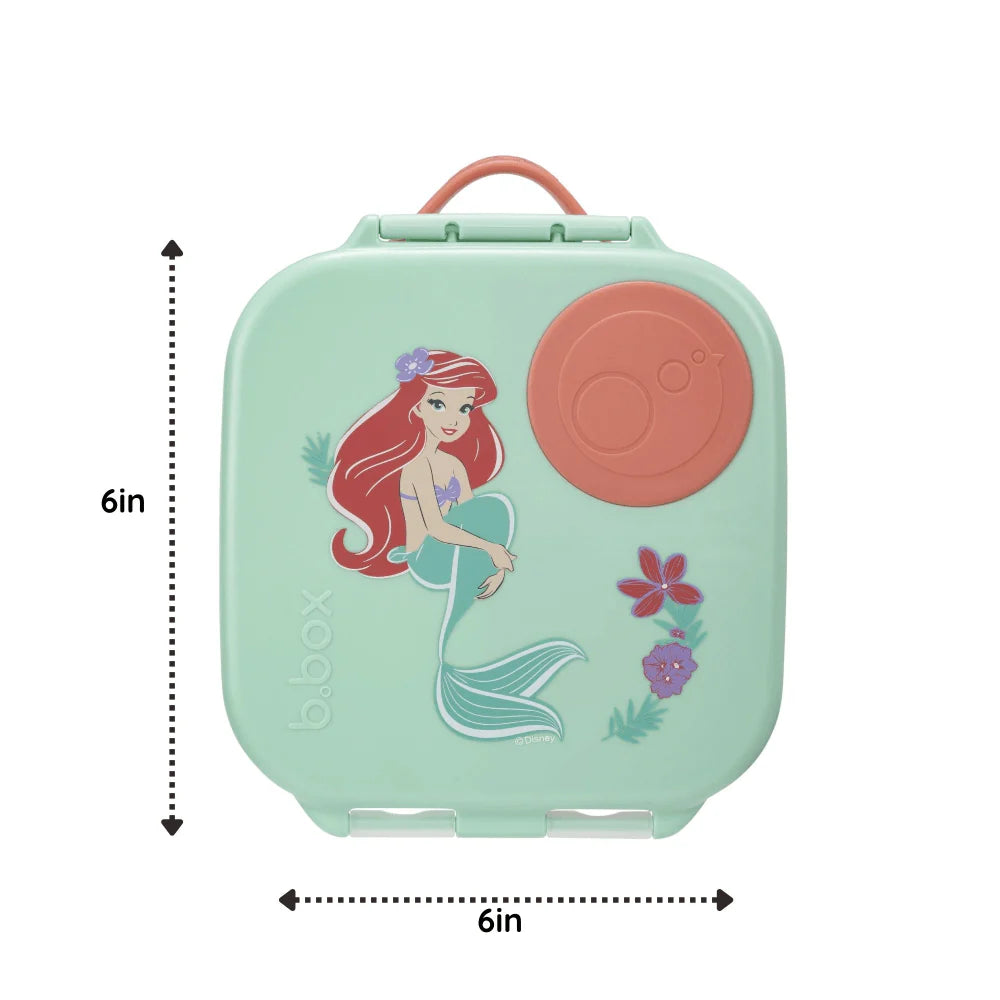 Mini Lunchbox