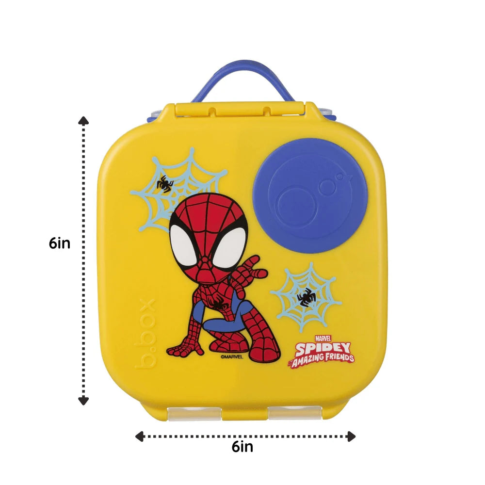 Mini Lunchbox