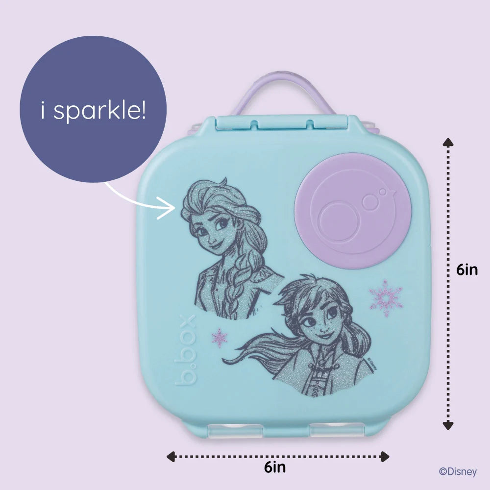 Mini Lunchbox