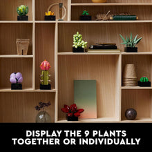 LEGO Succulents 10309 Plant Decor Building Kit (771 Pcs),Multicolor