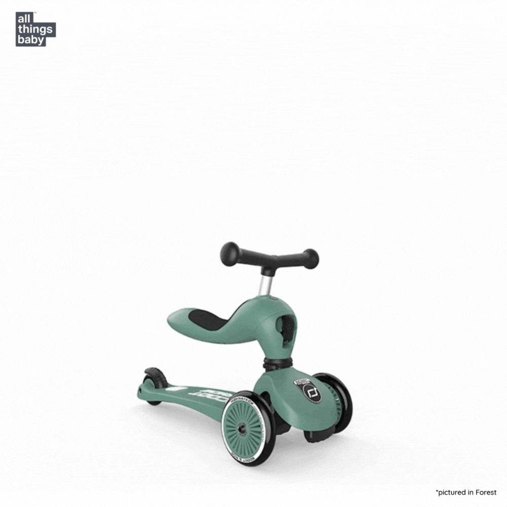 Scoot and Ride Highwaykick 1 -Ash