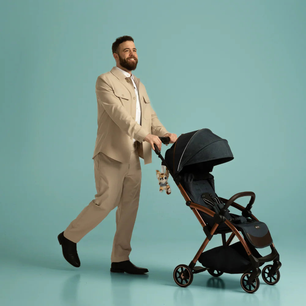 Leclerc baby Influencer Air Stroller Violet Grey