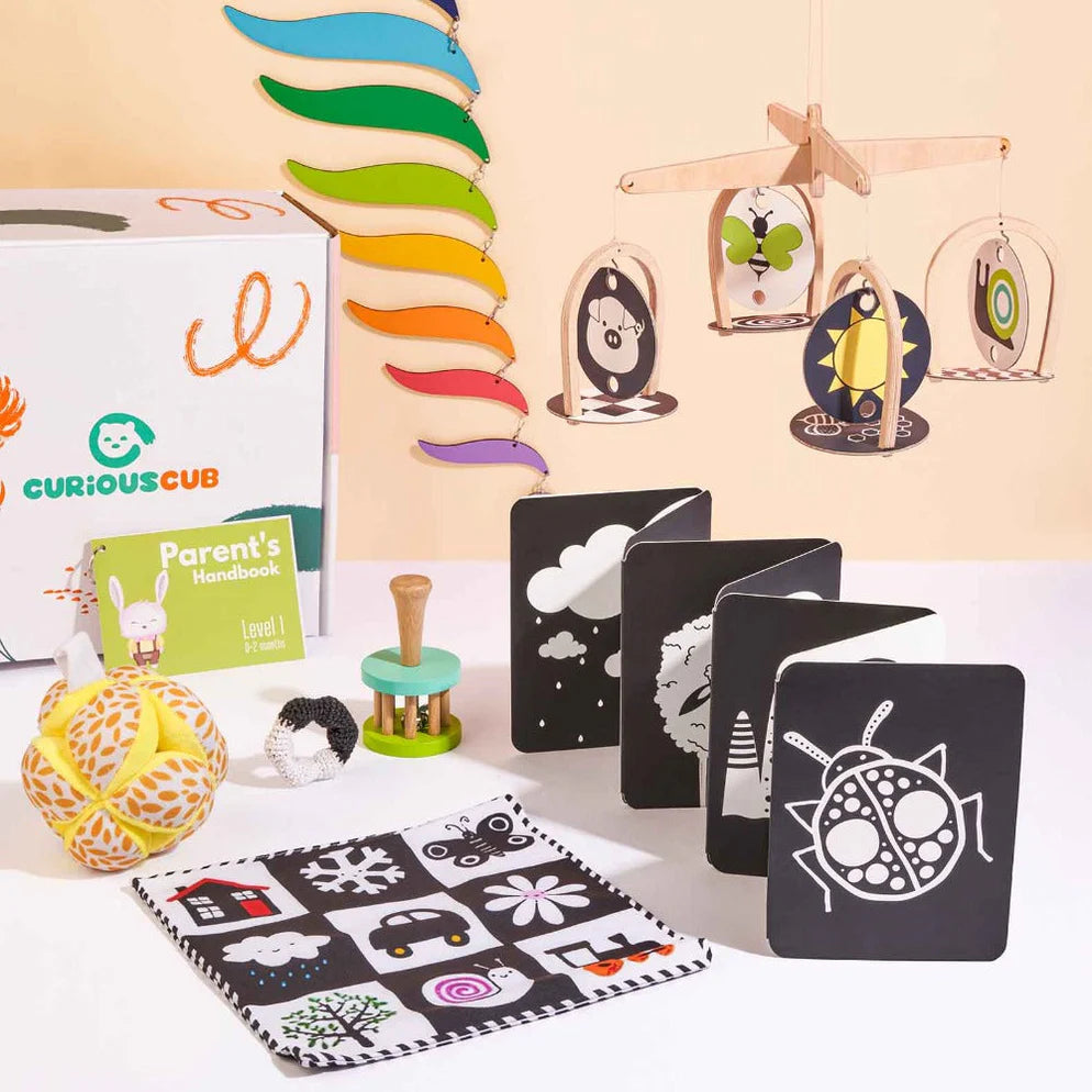 Curious Cub Montessori Box - 0 Months + (Level- 1)