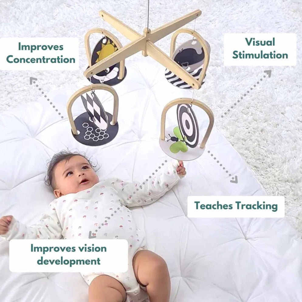 Curious Cub Montessori Box - 0 Months + (Level- 1)
