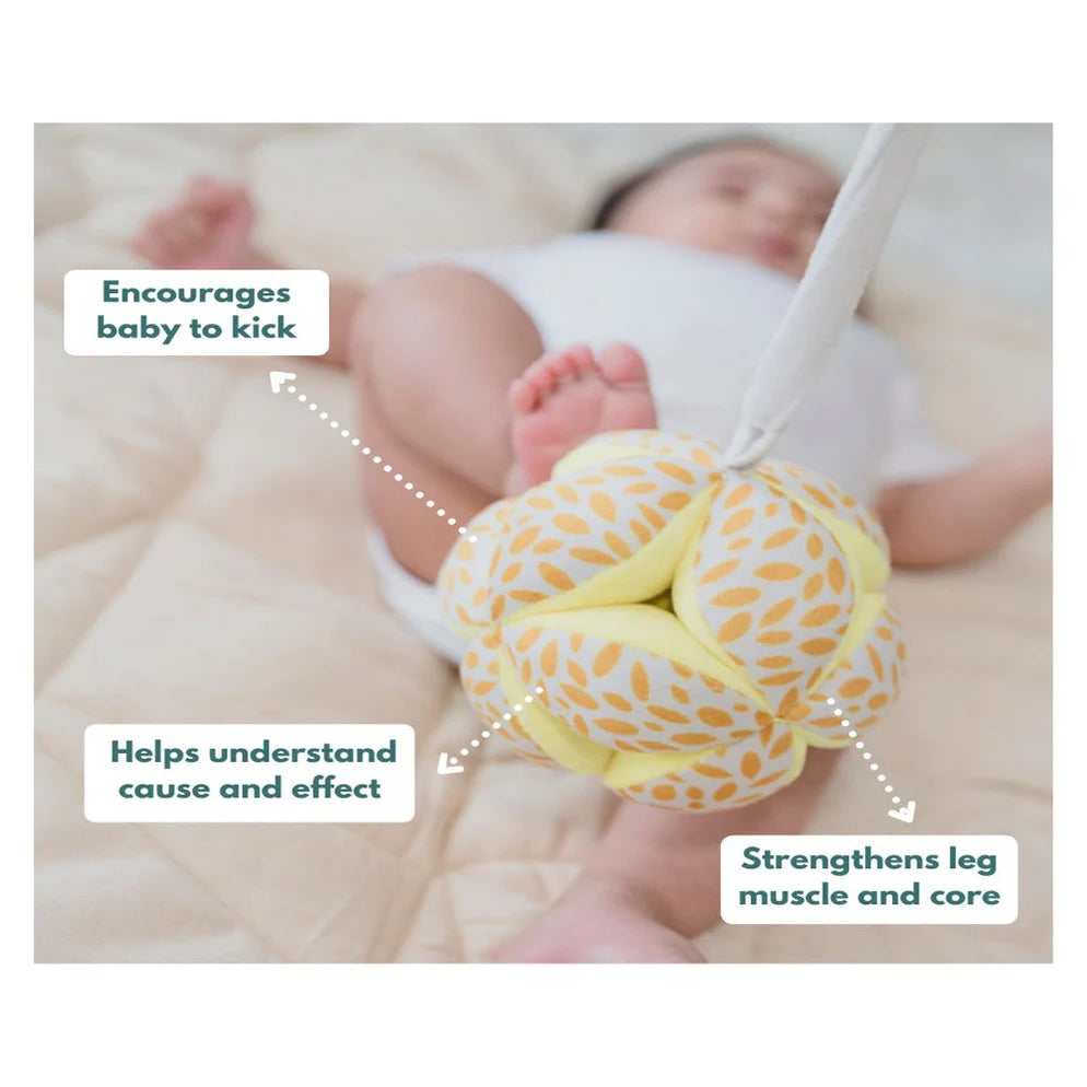 Curious Cub Montessori Box - 0 Months + (Level- 1)