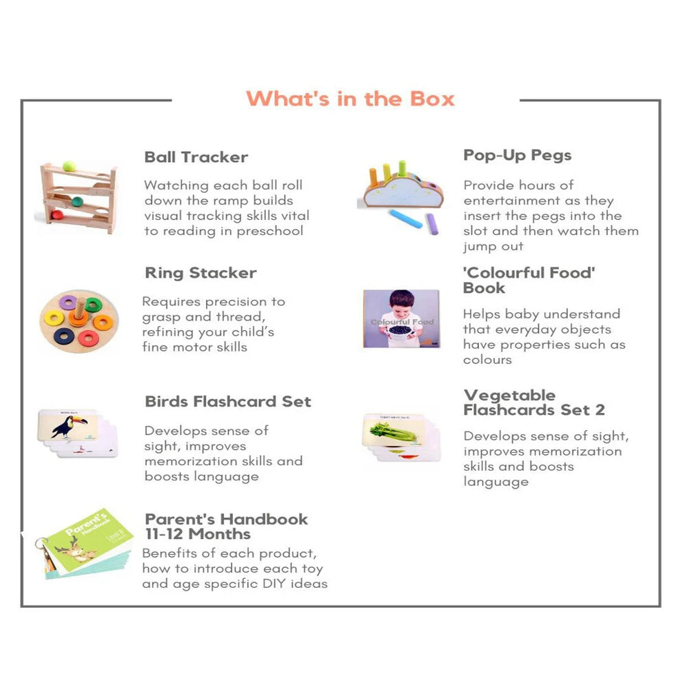 Curious Cub Montessori Box- 11 Months + (Level- 6)