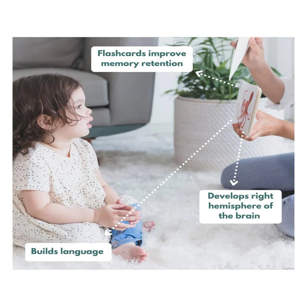 Curious Cub Montessori Box- 11 Months + (Level- 6)