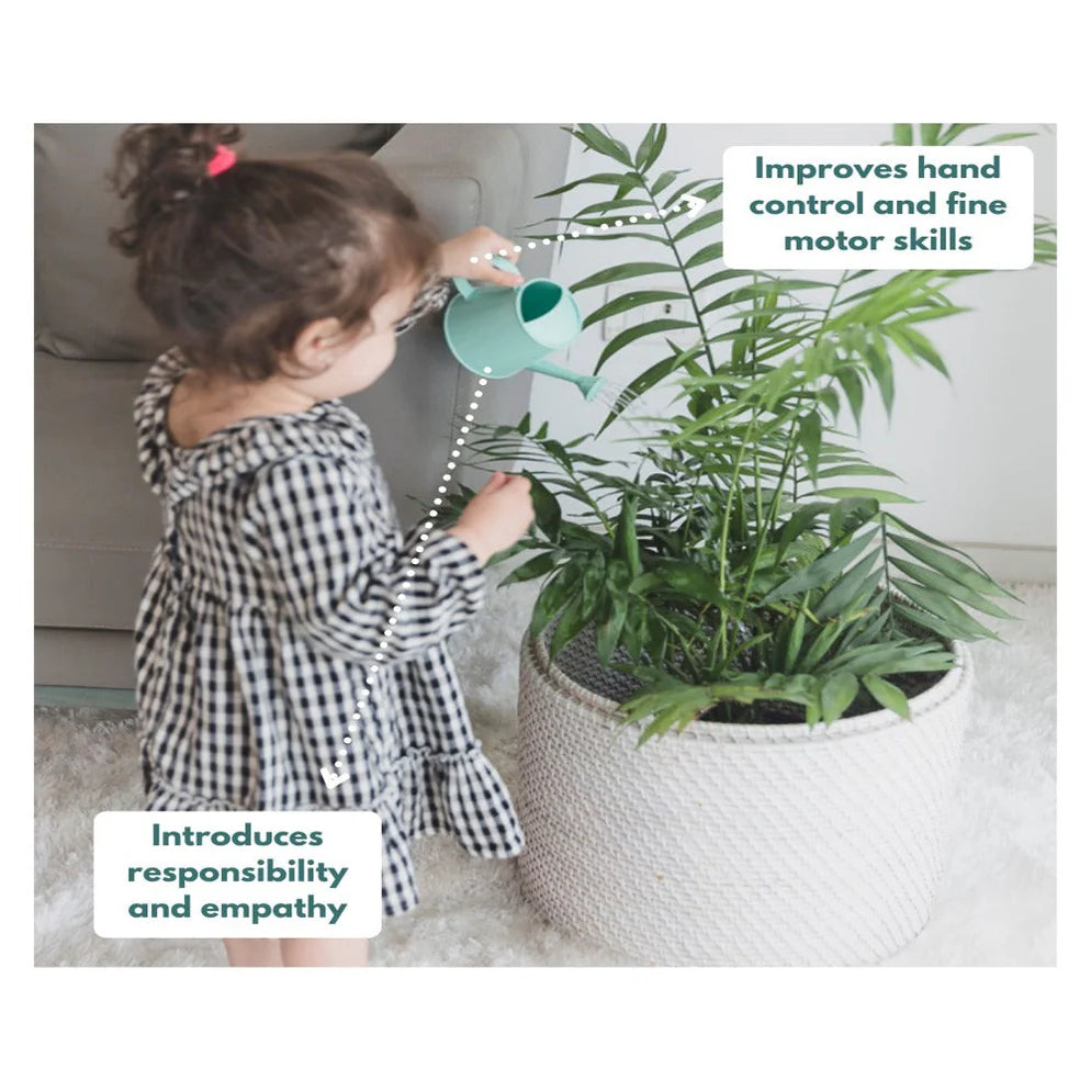 Curious Cub Montessori Box - 16 Months + (Level- 8)
