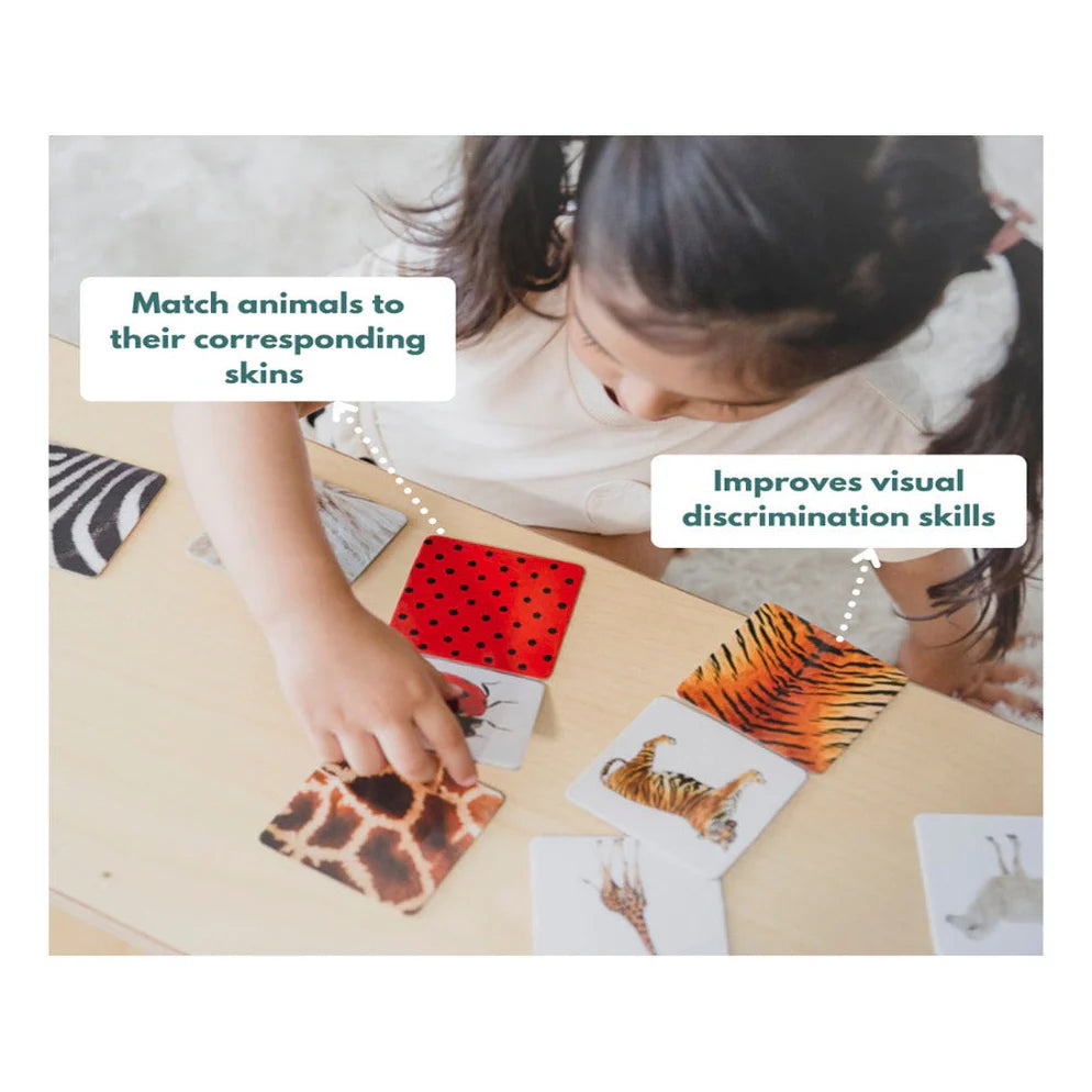 Curious Cub Montessori Box- 2 Years 9 Months + (Level- 14)