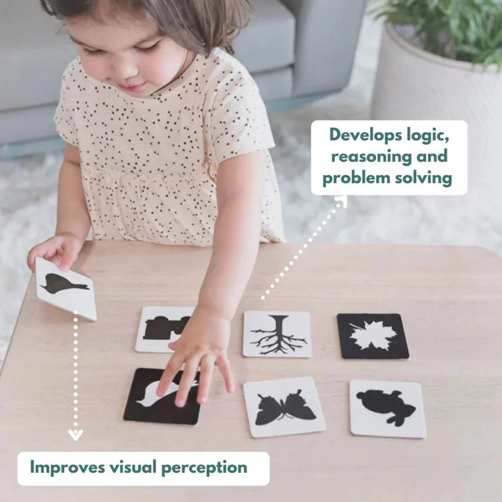 Curious Cub Montessori Box- 21 Months + (Level- 10)
