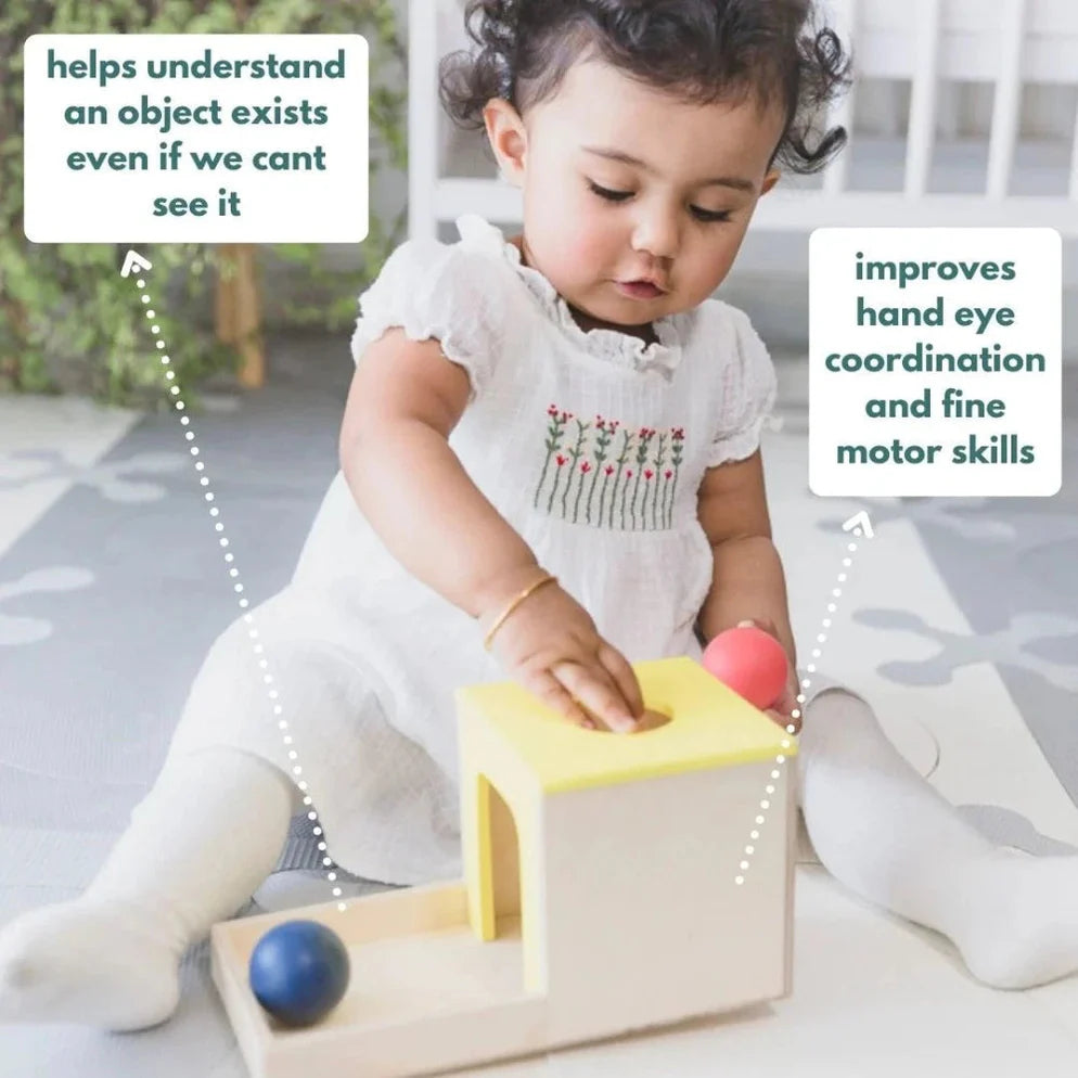 Curious Cub Object Permanence Box - Multi Color
