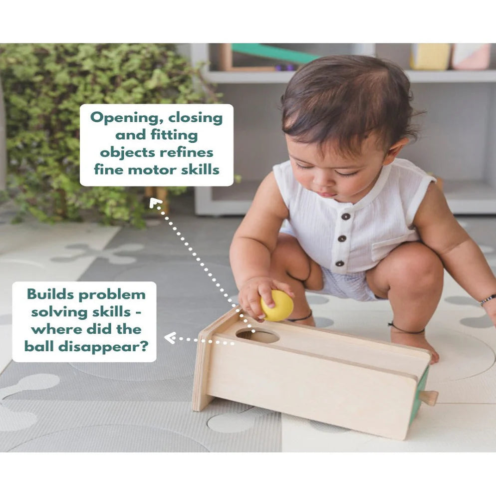 Curious Cub Object Permanence With Drawer