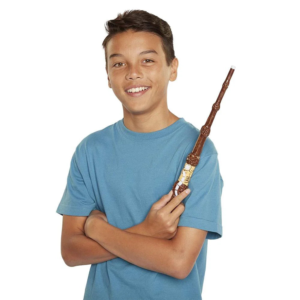 Harry Potter, Albus Dumbledore's Wizard Training Wand