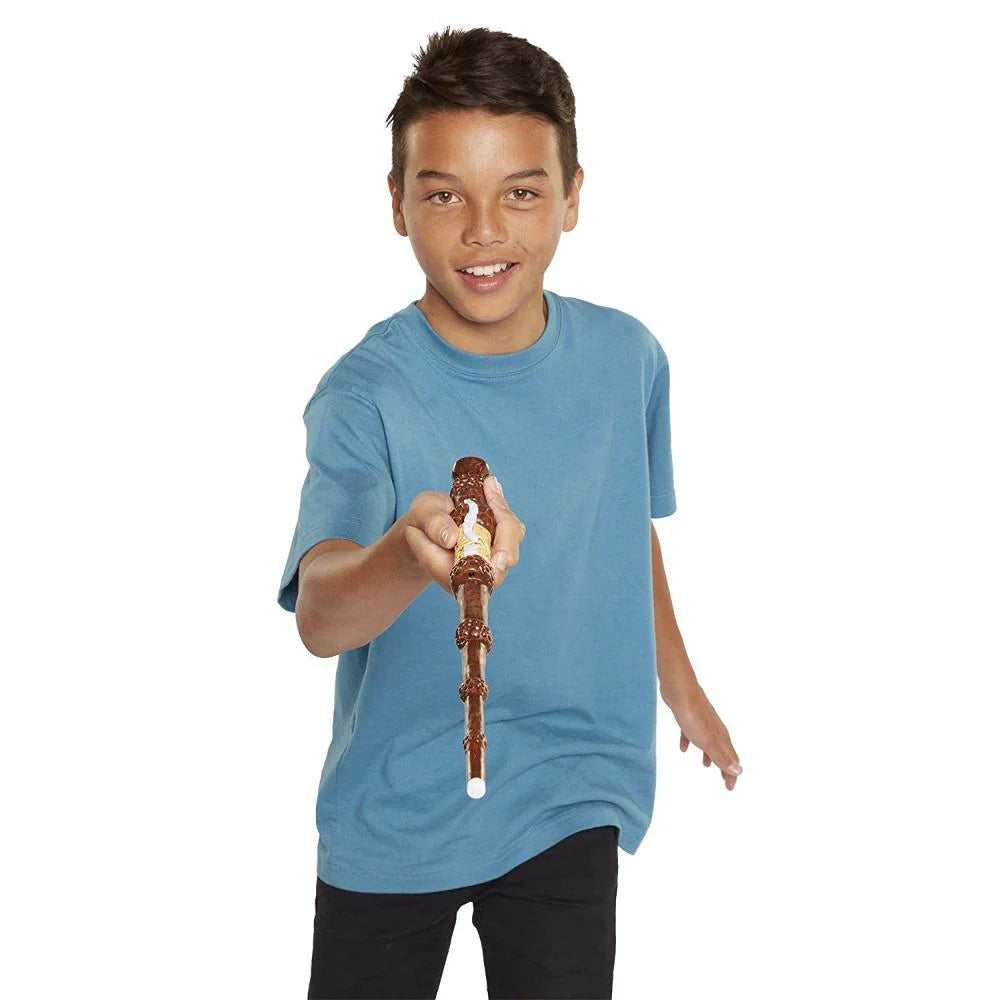 Harry Potter, Albus Dumbledore's Wizard Training Wand