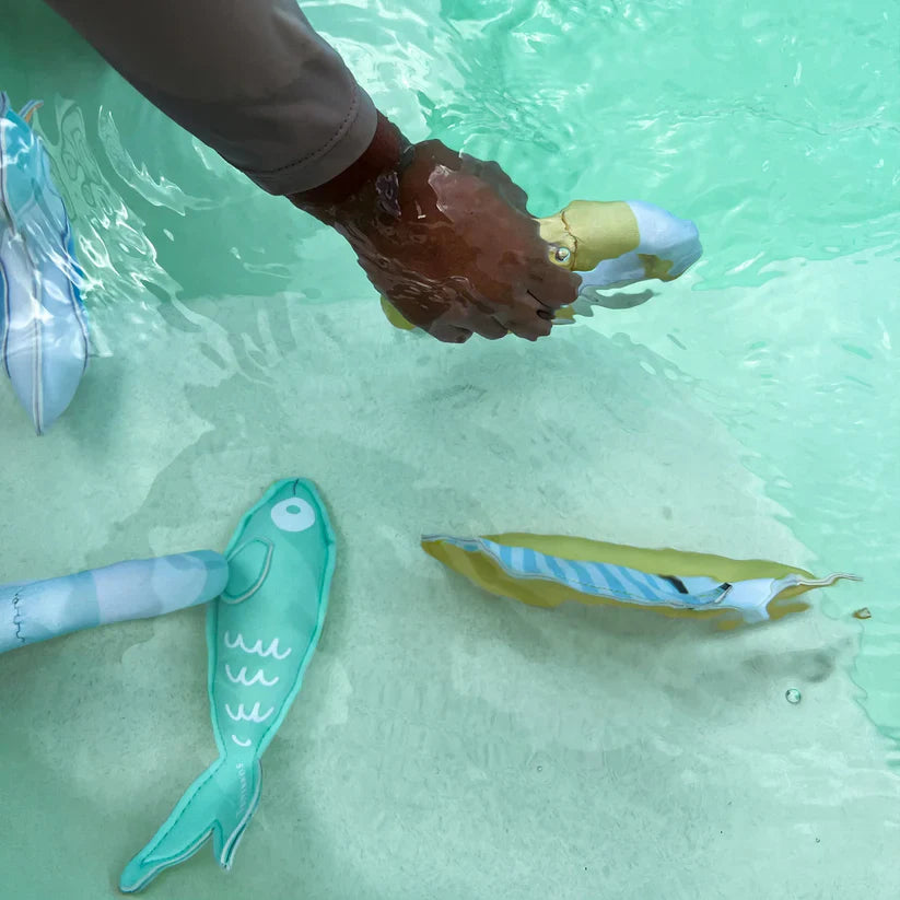 Dive Buddies Seagull Set of 6