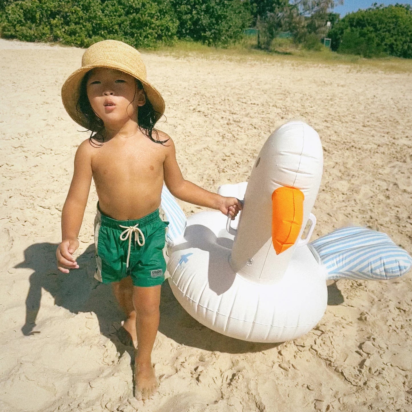 Pool Float Ride On K Seagull