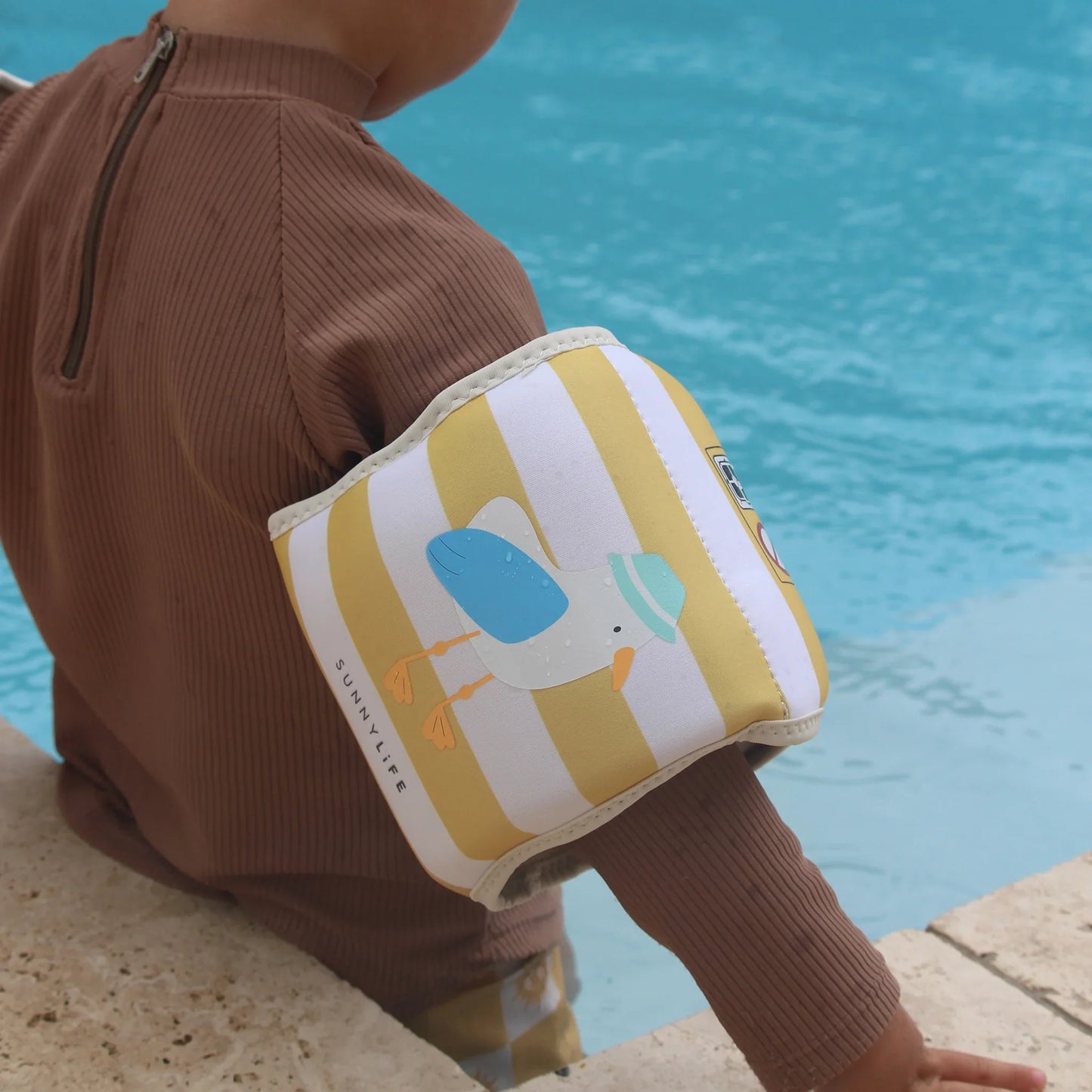 Arm Bands Neoprene Seagull