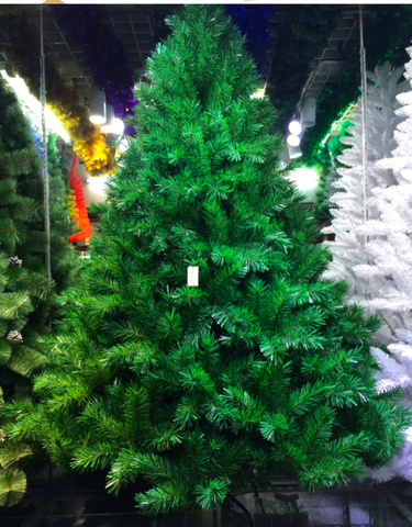 Grand Fir Christmas Tree 8 feet Christmas Tree