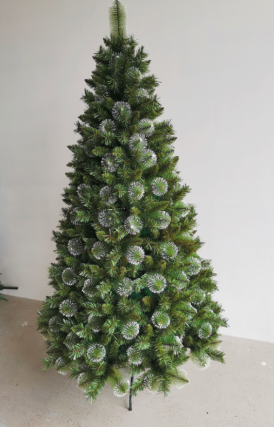 Scotch Pine Christmas tree