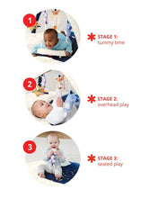 Skip Hop Celestial Dreams Activity Gym(Birth+ to 24Months)