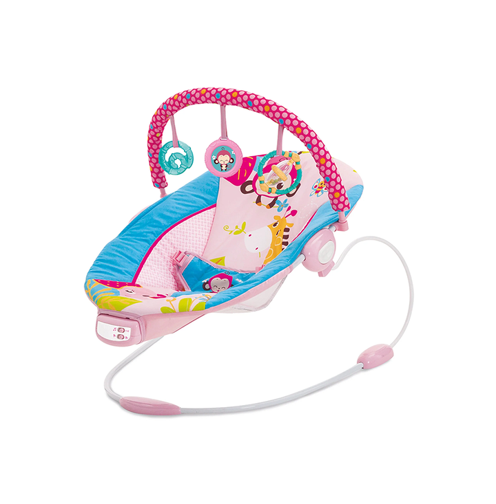 Mastela Music Vibrations Bouncer  (3 months to 12 months)