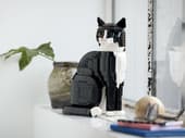 LEGO Ideas Tuxedo Cat 21349 – 1,710 Pieces | Buildable Cat Display Model