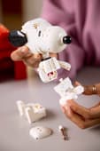 LEGO Ideas Peanuts: Snoopy’s Doghouse 21368 Building Set for Adults