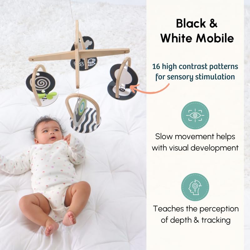 Curious Cub Montessori Learning Wooden Baby Toys | Box 1: 0-3 Months | Montessori Toys for 0-3 Months |Fine Motor Skills Development |Toy for New Born Baby| Toddler Toy | Ideal Gift for Baby Boy Girl