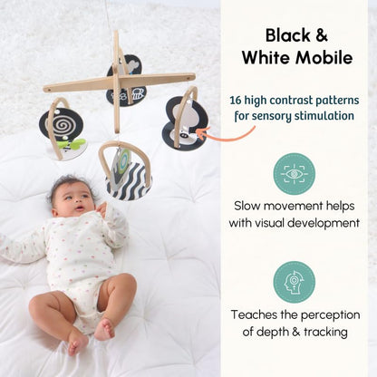 Curious Cub Montessori Learning Wooden Baby Toys | Box 1: 0-3 Months | Montessori Toys for 0-3 Months |Fine Motor Skills Development |Toy for New Born Baby| Toddler Toy | Ideal Gift for Baby Boy Girl