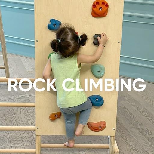 Curious Cub Jungle Gym for Kids Indoor, 7-in-1 Swing Slide & Climb