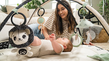 Tiny Love Black & White Décor Developmental Gymini Baby Play Gym