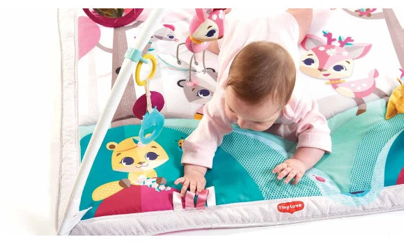 Tiny Love Tiny Princess Tales Gymini Deluxe Baby Play Gym with Toys & Mirror