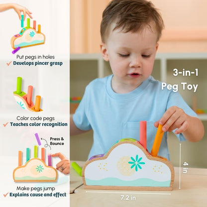 Curious Cub Montessori Wooden Toys for 1 Year Old Baby