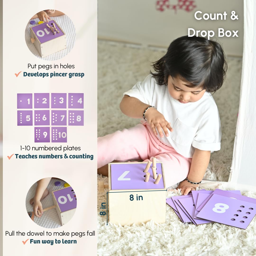 Curious Cub Montessori Learning Wooden Baby Toys | Box 11: 24+ Months| Montessori Toys for 2 Year Old|Child Development & Problem Solving Baby|Fine Motor Recognition Skills | Birthday Gift Boy Girl