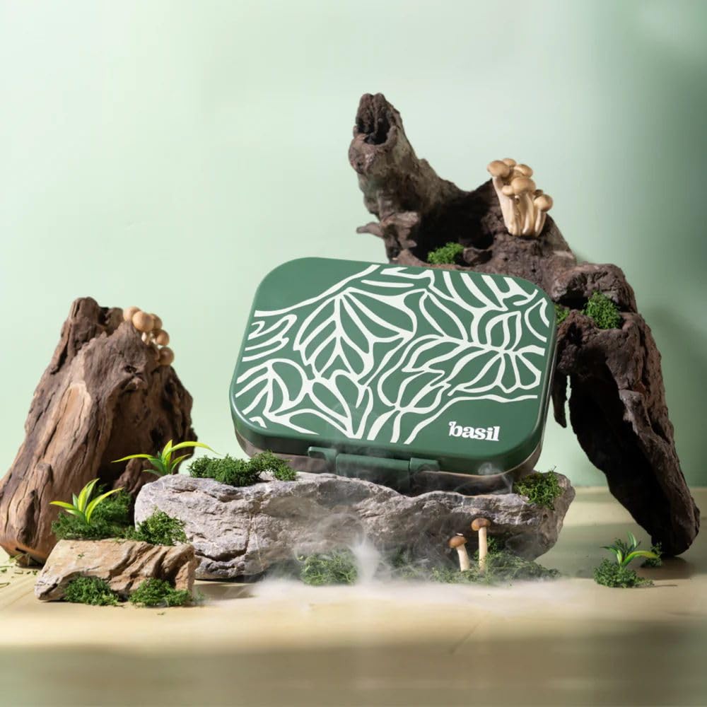 Basil Bento Box Quad – 4 Compartment Stainless Steel Lunch Box, 830 ml | Emerald Moss