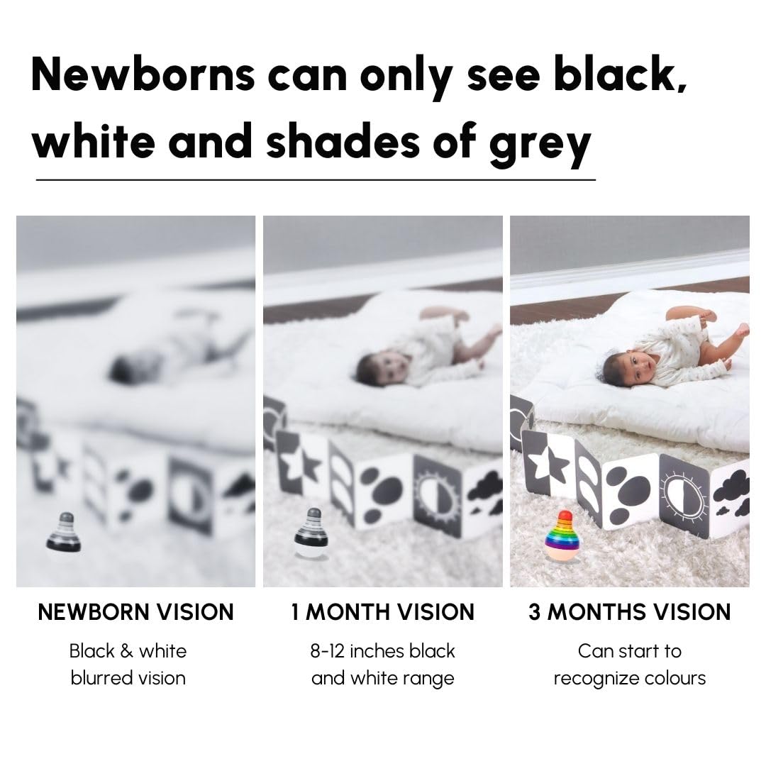 Curious Cub Black & White Flash Cards for New Born Baby, 0-3 Months