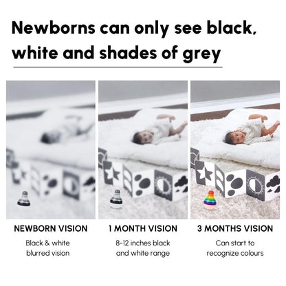 Curious Cub Black & White Flash Cards for New Born Baby, 0-3 Months