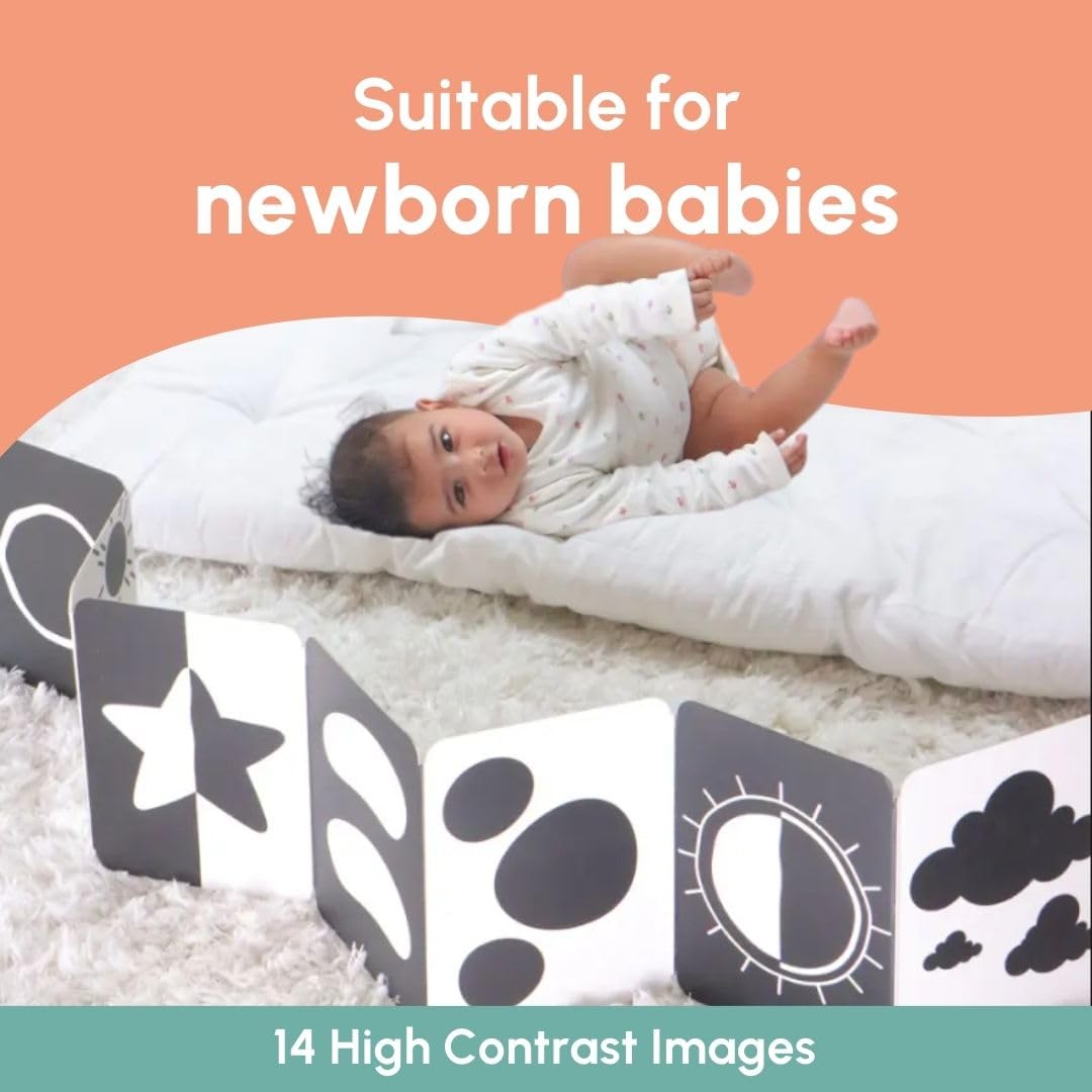 Curious Cub Black & White Flash Cards for New Born Baby, 0-3 Months