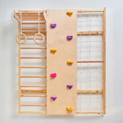Curious Cub Wall Mounted Jungle Gym Set for Kids | Indoor Climbing Toy for Toddlers with Net Climbing, Ladder, Rock Climbing Wall, Monkey Bar & Gymnastic Rings | Exciting Gym Playset for Kids 2-9 yrs