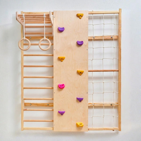 Curious Cub Wall Mounted Jungle Gym Set for Kids | Indoor Climbing Toy for Toddlers with Net Climbing, Ladder, Rock Climbing Wall, Monkey Bar & Gymnastic Rings | Exciting Gym Playset for Kids 2-9 yrs