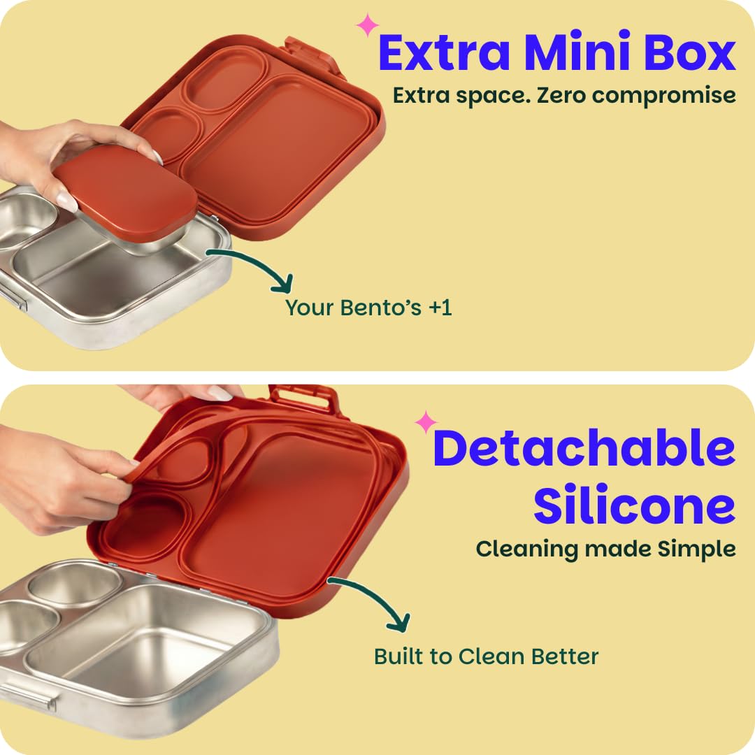 Basil Bento Box Quad Plus 3+1 Compartment Stainless Steel Lunch Box | Desi Mitti